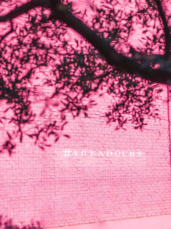 Discover Areadocks World